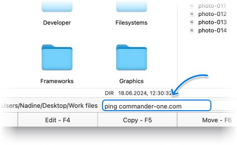 Type any command in the command line on the bottom panel of Commander One.