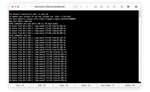 You see the result of checking the availability of a remote host (IP or domain) and its response time.