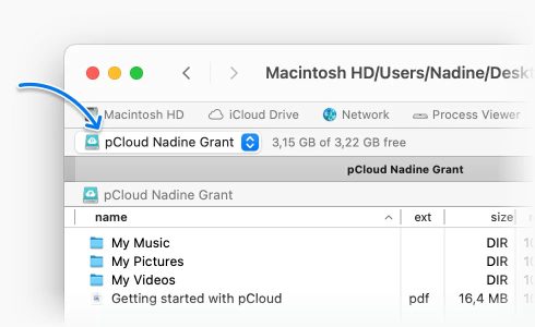Now you can start managing files in your pCloud account.